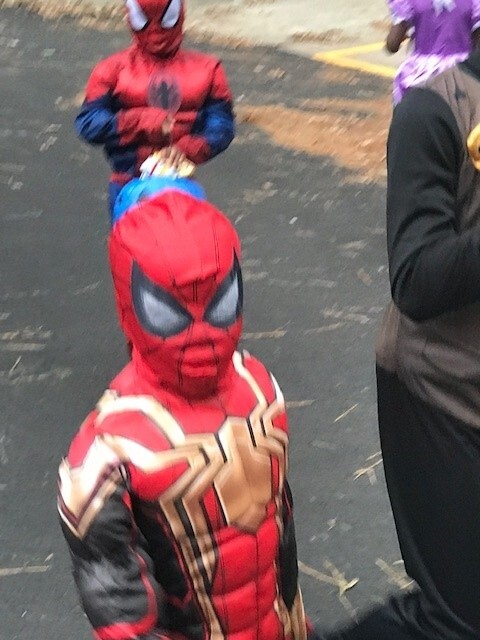Two individuals wearing Spiderman costumes.